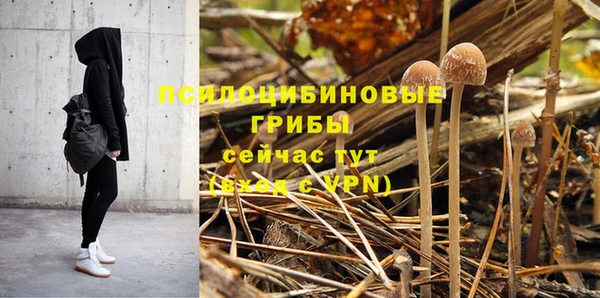 ешки Ладушкин