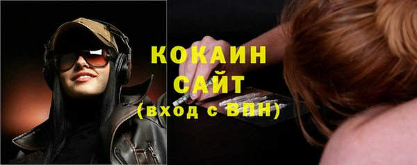 ешки Ладушкин