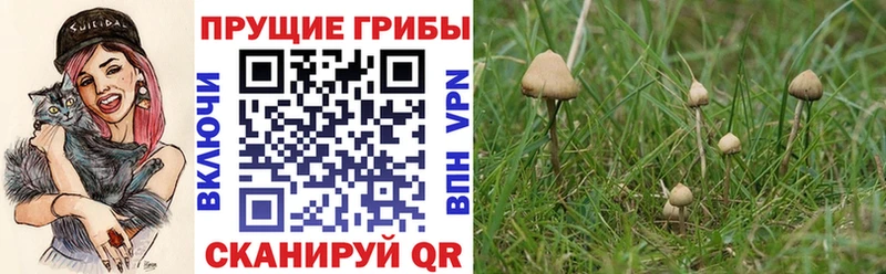 даркнет как зайти  Хвалынск  Галлюциногенные грибы прущие грибы  наркошоп 